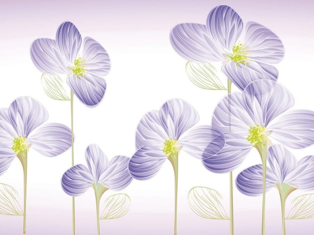 Fototapeta Fioletowe kwiaty na białym tle (kod: 24397) Fototapeta z dużymi fioletowymi kwiatami na białym tle i zielonymi łodygami