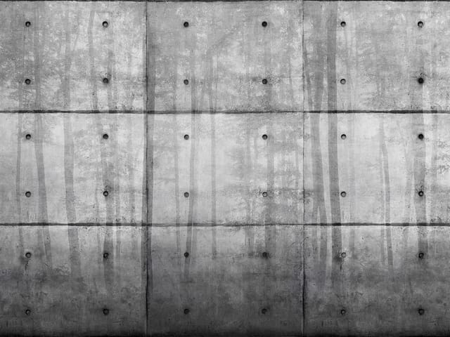Fototapeta z betonowymi płytami i delikatnymi zarysami drzew