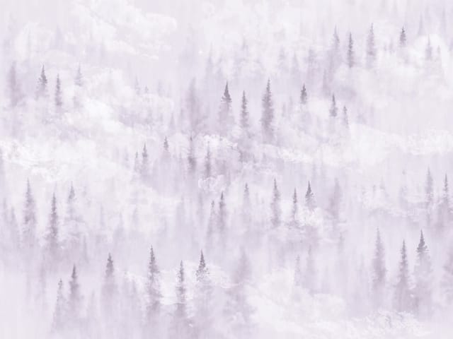 Fototapeta Mglisty las iglasty na wzgórzach (kod: 24476) Fototapeta przedstawiająca mglisty las iglasty na wzgórzach z pastelowym tłem