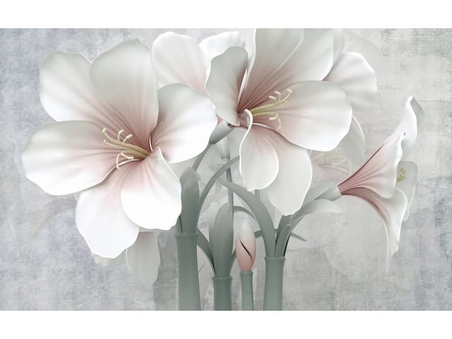 Fototapeta Lilie na szarym tle z różowymi akcentami