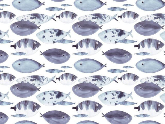 Fototapeta przedstawia wzór z różnorodnymi rybami na białym tle