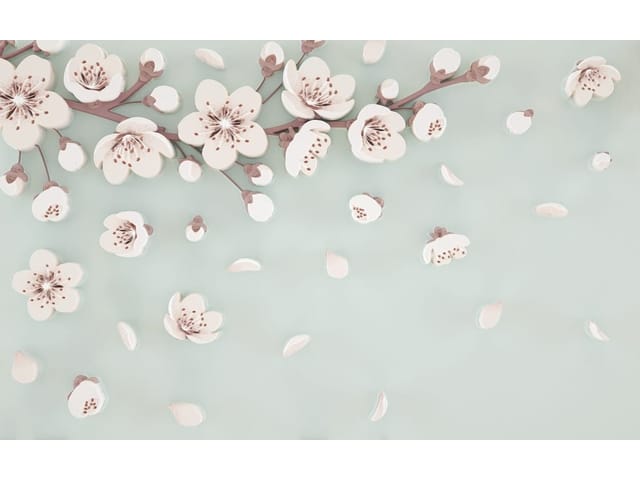 Fototapeta Gałąź Sakura na Jasnym Tle