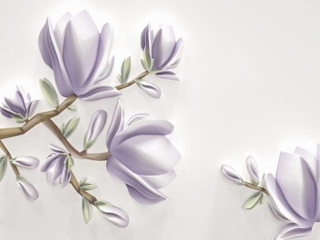 Fototapeta Gałąź z kwiatami magnolii