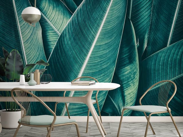 Fototapeta Zielone liście z wyraźnym żyłkowaniem