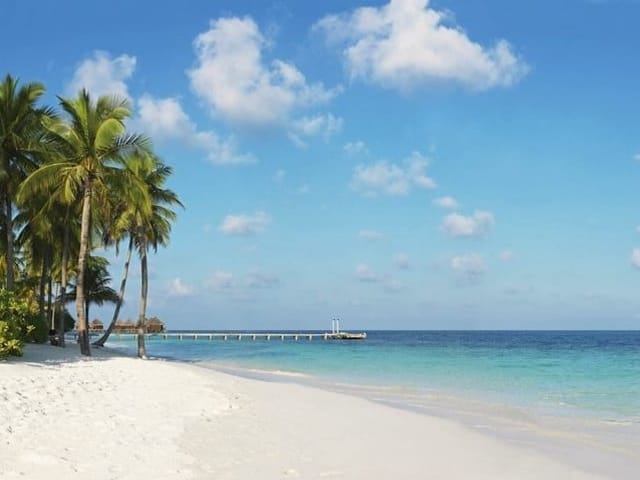 Fototapeta z plażą, palmami i turkusowym oceanem pod błękitnym niebem