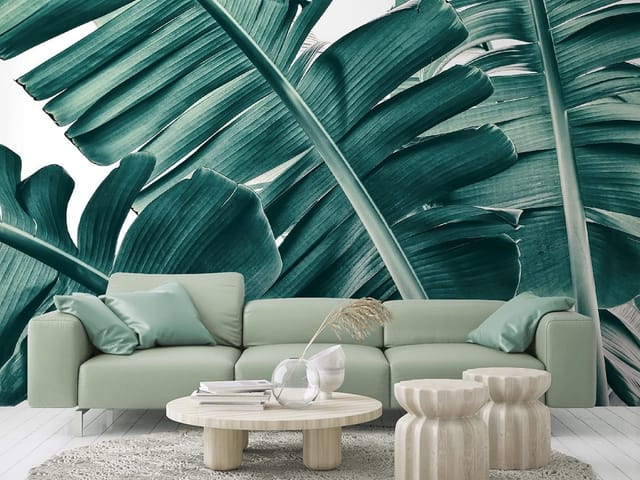 Fototapeta Zielone Liście Bananowca (kod: 24715) Fototapeta Zielone Liście Bananowca