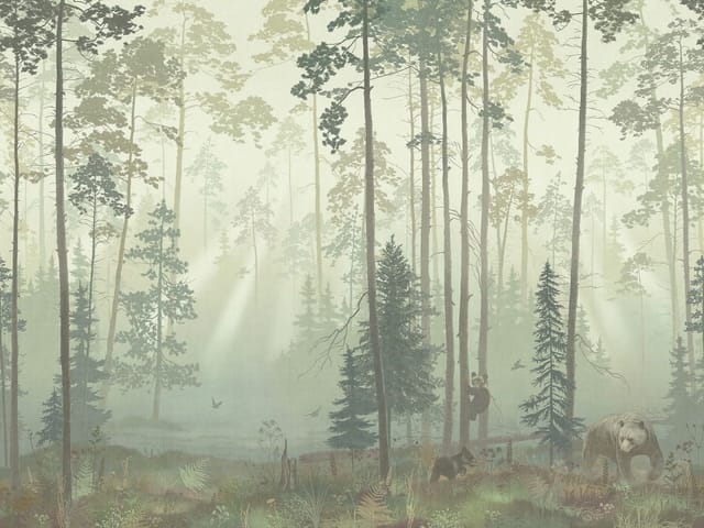 Fototapeta przedstawiająca las z wysokimi drzewami iglastymi i niedźwiedziami w mglistej scenerii