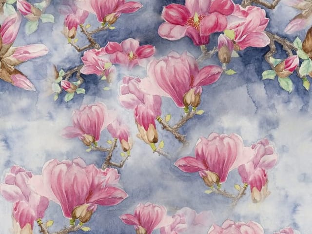 Fototapeta z kwiatami magnolii na niebieskim tle z zielonymi liśćmi