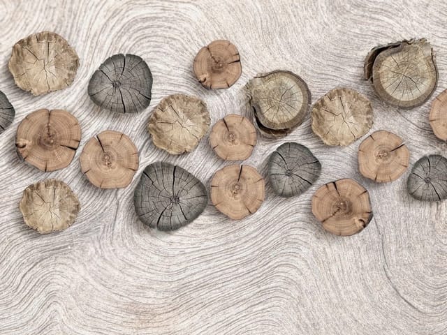 Fototapeta z drewnianymi krążkami na jasnym tle, różne odcienie drewna