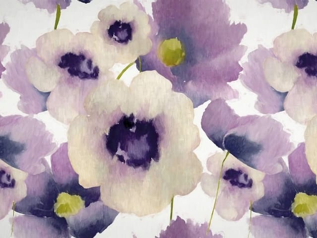 Fototapeta Fioletowe maki na białym tle (kod: 24898) Fototapeta z dużymi fioletowymi makami na białym tle, delikatne przejścia kolorów