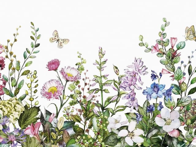 Fototapeta z różnorodnymi kwiatami na białym tle z motylami