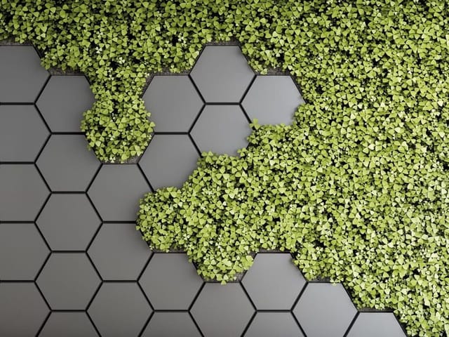 Fototapeta z zielonymi liśćmi na tle sześciokątnych płytek