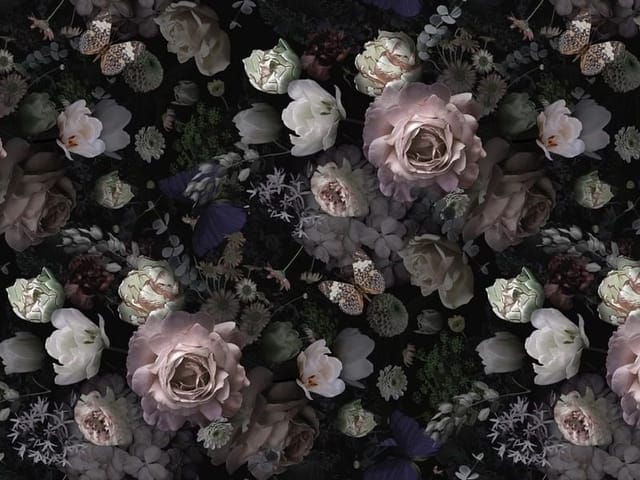 Fototapeta z różowymi różami na ciemnym tle, otoczonymi białymi kwiatami i zielonymi liśćmi