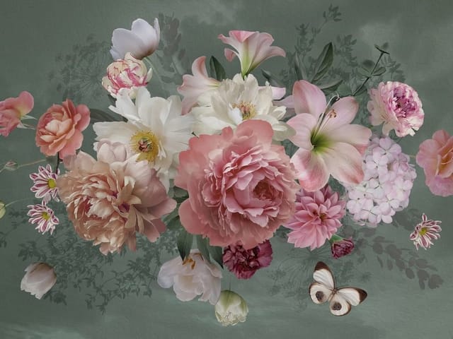 Fototapeta Bukiet Piwonii w Różu i Bielach (kod: 24977) Fototapeta z bukietem różowych i białych piwonii na ciemnym tle