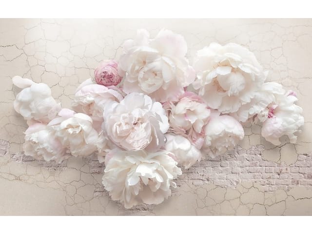 Fototapeta Bukiet Piwonii na Delikatnym Tle