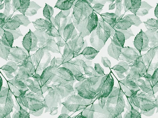 Fototapeta z zielonymi liśćmi na gałęziach z jasnym tłem i cieniowaniem