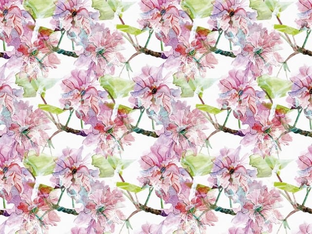 Fototapeta z dużymi różowymi kwiatami i zielonymi liśćmi na białym tle