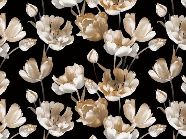 Fototapeta z dużymi tulipanami na czarnym tle, jasne płatki