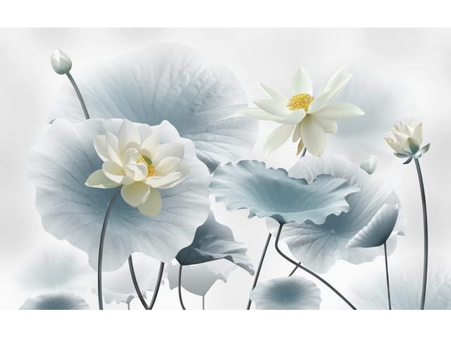 Fototapeta Kwiaty lotosu na tle liści