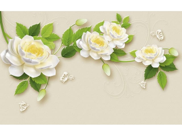 Fototapeta Białe róże z zielonymi liśćmi