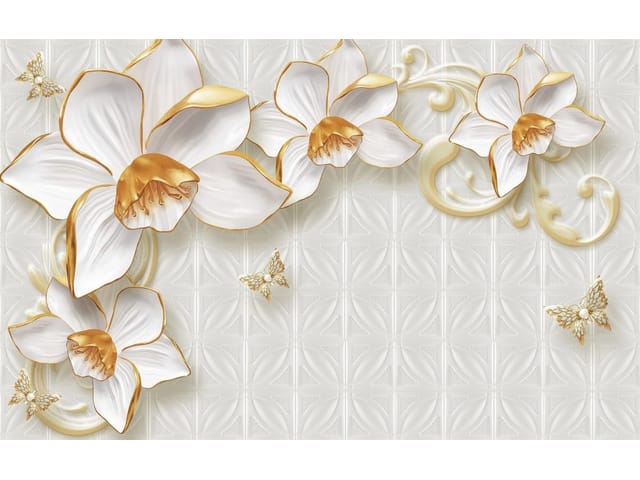 Fototapeta Storczyki na jasnym tle