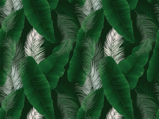 Fototapeta z dużymi zielonymi liśćmi i białymi piórami na ciemnym tle