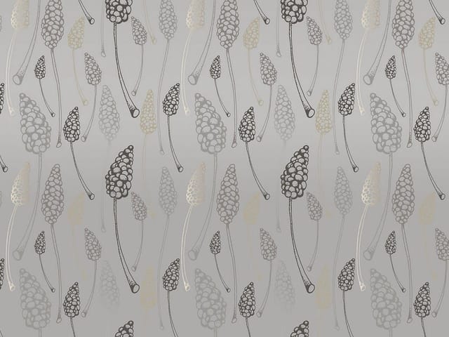 Fototapeta z wzorem szyszek na szarym tle, różnorodne kształty i odcienie