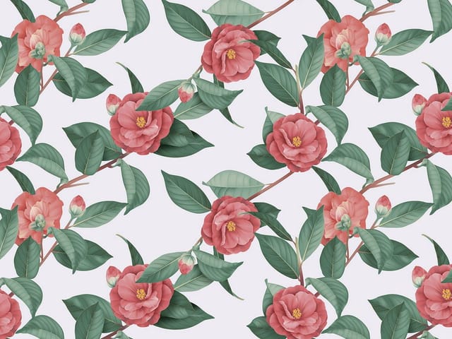 Fototapeta z różowymi kwiatami kamelii na gałęziach i jasnym tle