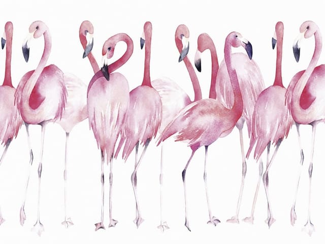 Fototapeta z grupą różowych flamingów o delikatnych piórach i długich szyjach