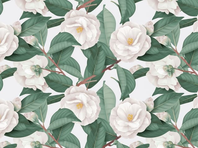 Fototapeta z dużymi białymi kwiatami i zielonymi liśćmi na jasnym tle