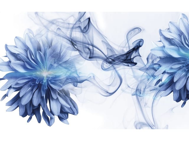 Fototapeta Niebieskie kwiaty z dymem