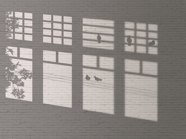 Fototapeta z cieniami okien na ceglanej ścianie z gałęziami