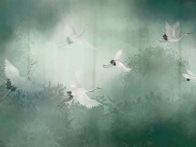 Fototapeta z białymi żurawiami w locie nad zamglonym lasem