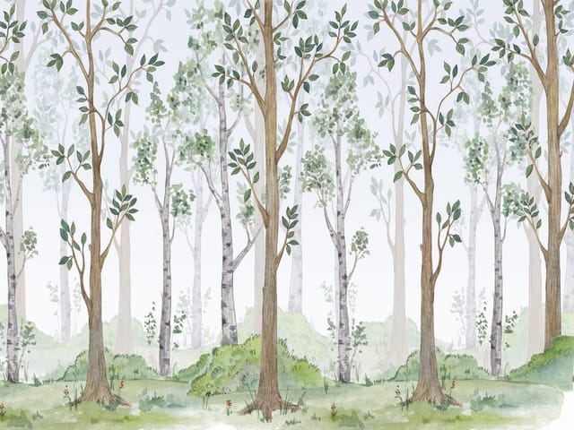 Fototapeta z wysokimi drzewami w lesie liściastym z zielonymi krzewami