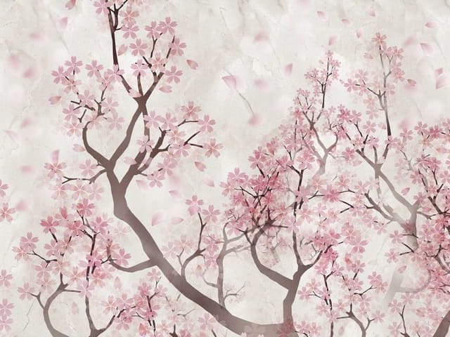 Fototapeta przedstawiająca gałęzie drzewa sakury z różowymi kwiatami i jasnym tłem