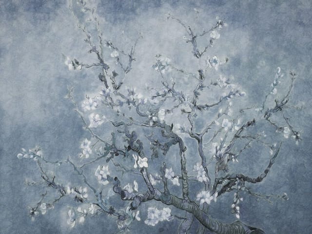 Fototapeta Gałęzie drzewa z kwiatami (kod: 25729) Fototapeta z gałęziami drzewa i białymi kwiatami na niebieskim tle