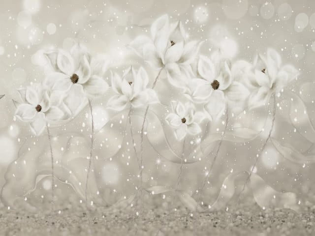 Fototapeta Białe kwiaty na tle bokeh