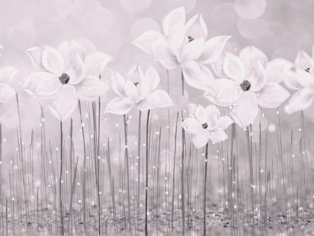 Fototapeta z dużymi białymi kwiatami na długich łodygach, rozmyte tło