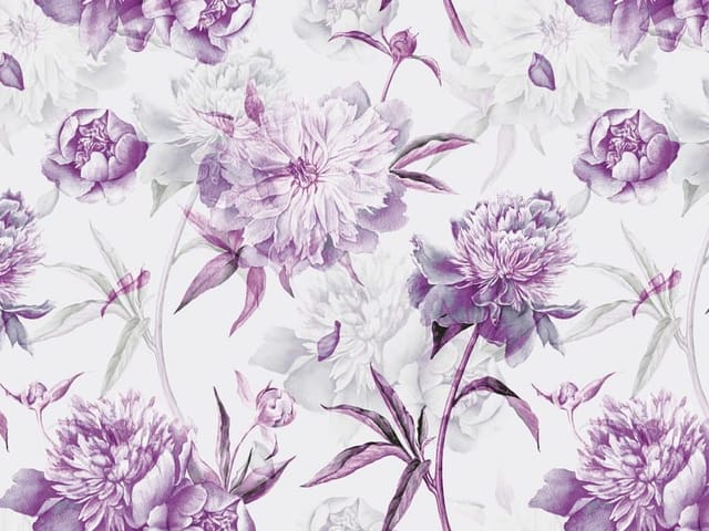 Fototapeta Fioletowe piwonie na białym tle (kod: 25740) Fototapeta z dużymi fioletowymi piwoniami na białym tle z liśćmi