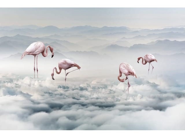 Fototapeta Flamingi na pastelowych chmurach (kod: 25746) Fototapeta Flamingi na pastelowych chmurach