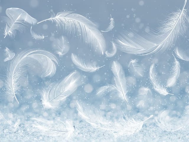 Fototapeta z unoszącymi się białymi piórami na rozmytym tle