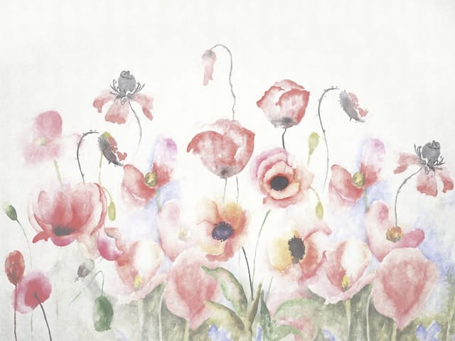 Fototapeta Kolorowe maki na białym tle (kod: 25763) Fototapeta z kolorowymi makami na białym tle, czerwone i zielone akcenty