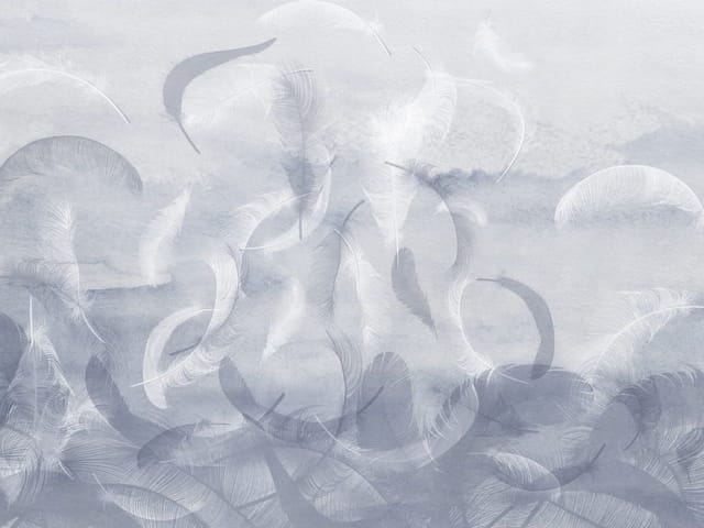 Fototapeta Unoszące się białe pióra (kod: 25798) Fototapeta z unoszącymi się białymi piórami na jasnym tle