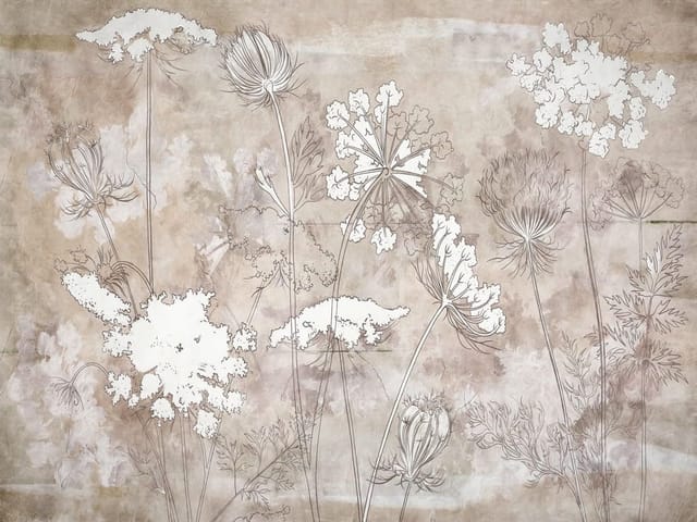 Fototapeta z delikatnymi kwiatami na długich łodygach i beżowym tle