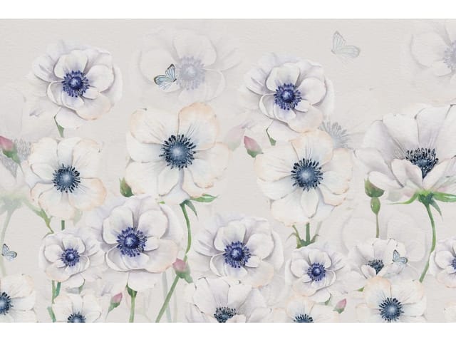 Fototapeta Kwiaty polne z niebieskimi środkami (kod: 25869) Fototapeta Kwiaty polne z niebieskimi środkami