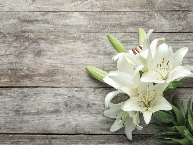 Fototapeta Bukiet białych lilii na desce (kod: 25944) Fototapeta z bukietem białych lilii na drewnianej desce, jasne oświetlenie
