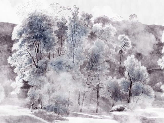 Fototapeta przedstawiająca zimowy las z drzewami pokrytymi śniegiem i mgłą