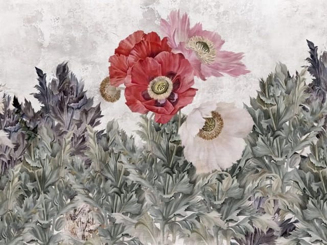 Fototapeta Kolorowe kwiaty maku wśród liści (kod: 25994) Fototapeta z kolorowymi kwiatami maku na tle zielonych liści