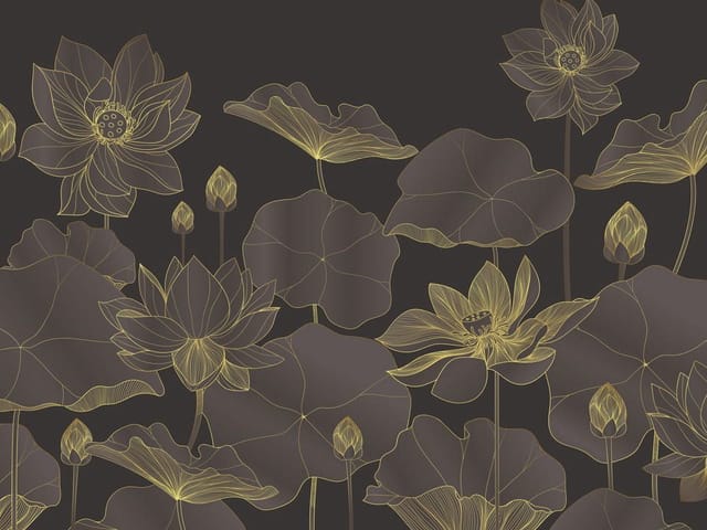 Fototapeta z dużymi kwiatami lotosu i ciemnymi liśćmi