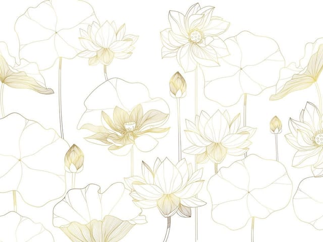 Fototapeta z delikatnymi konturami kwiatów lotosu na białym tle